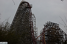 New Texas Giant