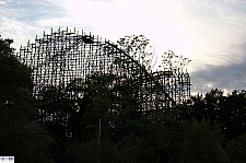 New Texas Giant