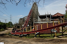 New Texas Giant