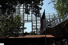 New Texas Giant