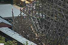 New Texas Giant