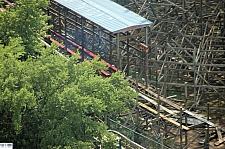 New Texas Giant