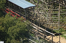 New Texas Giant