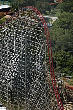 New Texas Giant