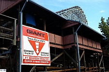 New Texas Giant