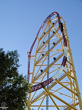 Top Thrill Dragster