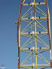 Top Thrill Dragster