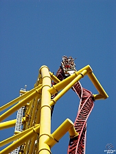 Top Thrill Dragster