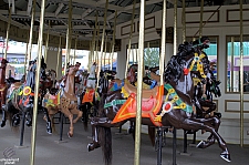 Midway Carousel
