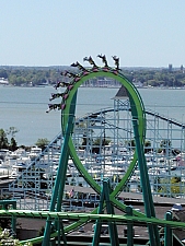 Raptor