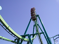 Raptor