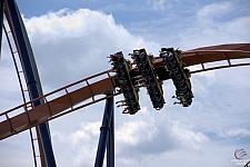 Valravn