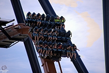 Valravn