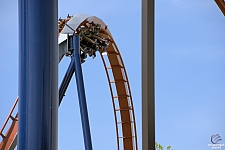 Valravn