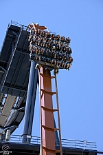 Valravn