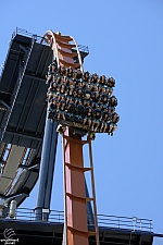 Valravn