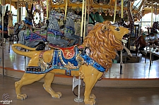 Merry Go Round