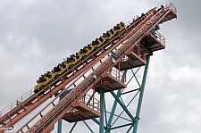Flying Cobras