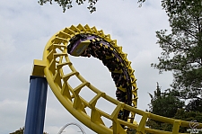 Carolina Cyclone