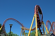 Bat