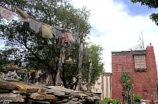 Expedition Everest