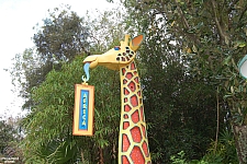 Disney's Animal Kingdom