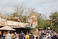 Disney's Animal Kingdom