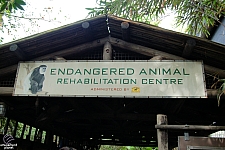 Disney's Animal Kingdom