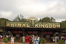 Disney's Animal Kingdom