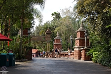 Disney's Animal Kingdom