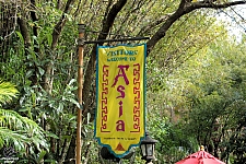 Disney's Animal Kingdom