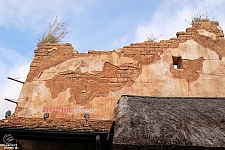 Disney's Animal Kingdom