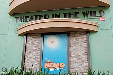Theatre in the Wild