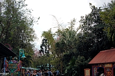 Disney's Animal Kingdom