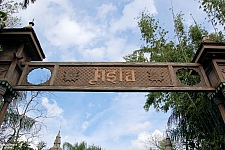 Disney's Animal Kingdom