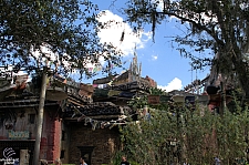 Disney's Animal Kingdom