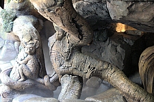 Tree of Life