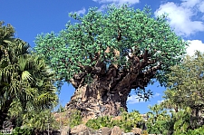 Tree of Life