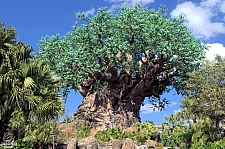 Tree of Life