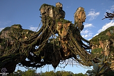 Pandora: The World of Avatar