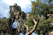 Pandora: The World of Avatar