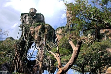 Pandora: The World of Avatar