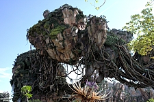 Pandora: The World of Avatar