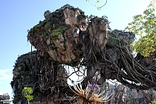 Pandora: The World of Avatar