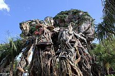 Pandora: The World of Avatar