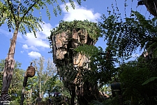 Pandora: The World of Avatar