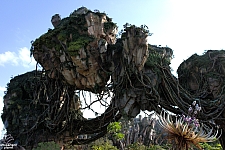 Pandora: The World of Avatar