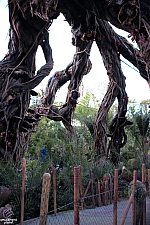 Pandora: The World of Avatar