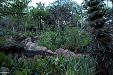 Pandora: The World of Avatar