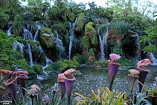 Pandora: The World of Avatar